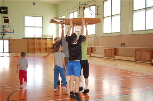 Obrázek v galerii